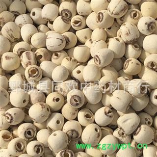 【去芯白莲子好统货】@【同欢药材】中药材批发供应  规格齐全 量大从优  产地 湖南省图2