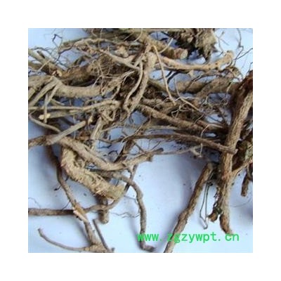 圣草康园山芝麻山芝麻杆山芝麻根 统段 产地 广西壮族自治区