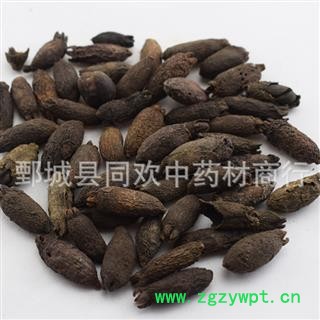 【母丁香】@【同欢药材】中药材批发供应 规格齐全 量大从优  产地 广西壮族自治区图3