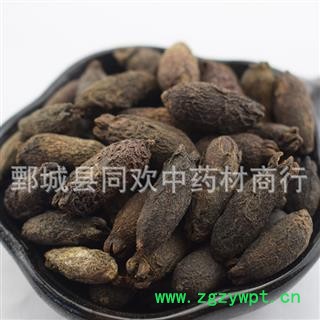 【母丁香】@【同欢药材】中药材批发供应 规格齐全 量大从优  产地 广西壮族自治区图2