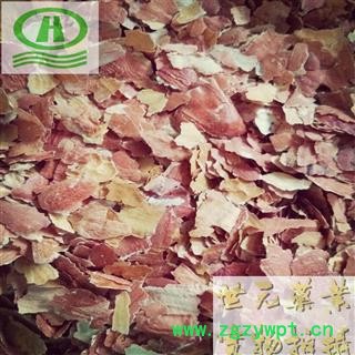 世元药业 花生衣 正品 别称-花生皮 落花生衣 长果衣 红衣 红薄皮图2