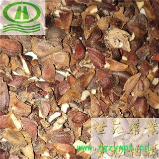 世元药业 木瓜子 木瓜籽 正品 优质 批发 零售图2