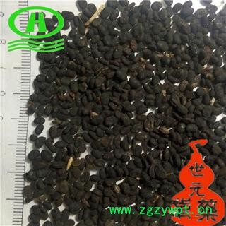 世元药业 补骨脂 正品 黑故子 破故纸图2