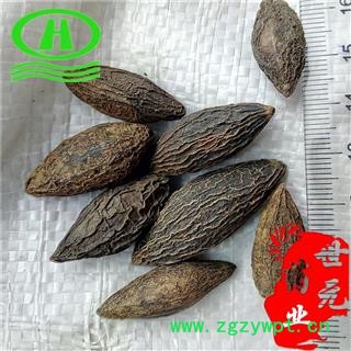 世元药业 甘青果 正品 橄榄果 干青果 谏果 白榄 甘榄 另有西青果图2