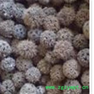 世元药业 路路通 六六通 别称-枫香果 九孔子 狼目图2