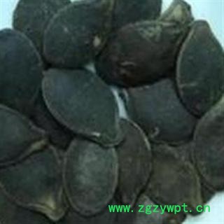 世元药业 南瓜子 南瓜籽 黑南瓜 正品 优质图2