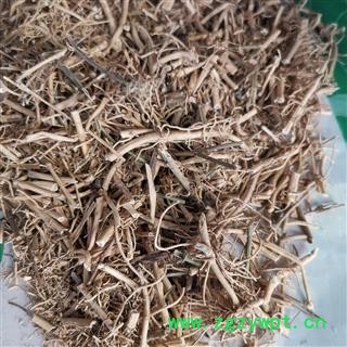 圣草康园白前 包药检 白前水洗统货 纯净货 无杂质 假一赔十 产地图3