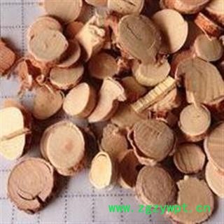 圣草康园五指毛桃 粗叶榕、三龙爪、亚桠、五爪龙、五指牛奶图2