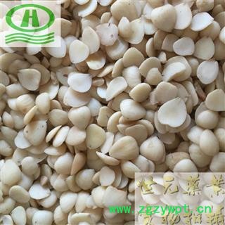 世元药业 苦杏仁 去皮野正品 无脱色 【全品除尘中药】图2