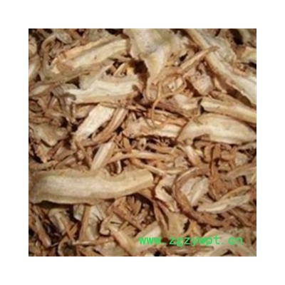 当归 全当归统片 一棵树 产地 甘肃省