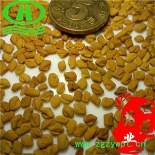 世元药业 芦巴子 正品 葫芦巴 胡芦巴 苦豆 香草籽图2