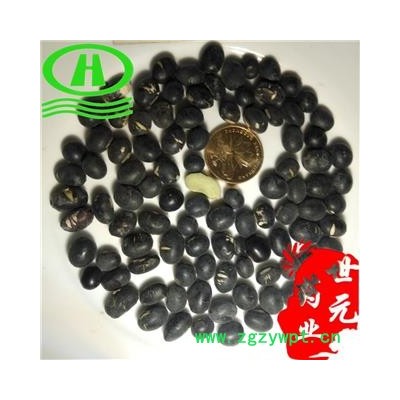 世元药业 乌豆 正品 大粒绿茬 黑豆 枝仔豆 大菽 黑大豆