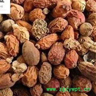 精品选装红豆蔻 产地直销，批发各种规格中草药图2