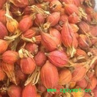 栀子 精选江西红栀子小选个 真正好货 药效显著 产地 江西省图2