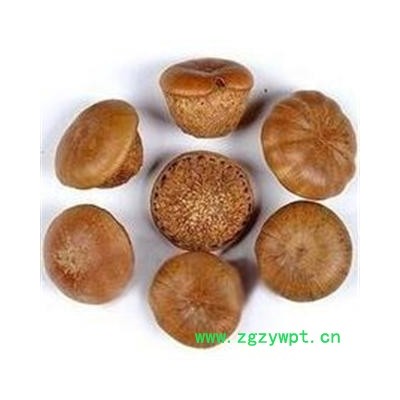 精品选装新货风流果 龟头子 壮阳果