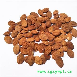 桃仁 扁桃仁选货 产地 山东省图2