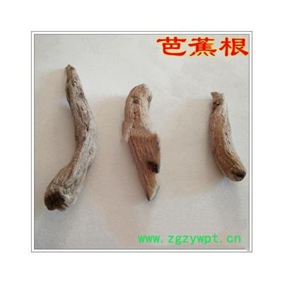 九盛堂中药材 芭蕉根 芭蕉头 芭蕉 巴且 天苴 绿天 扇仙