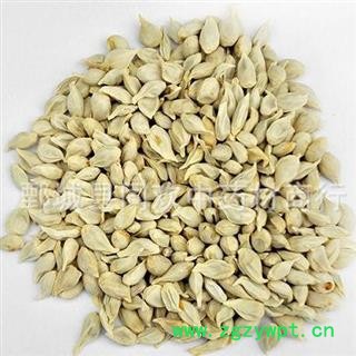 【橘核】@【同欢药材】中药材批发供应  规格齐全 量大从优 产地 四川省图2