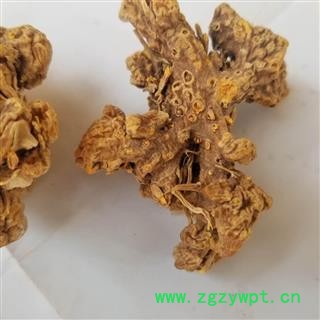 中药材 射干个 产地河北 大货图3