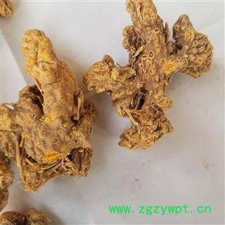 中药材 射干个 产地河北 大货图2