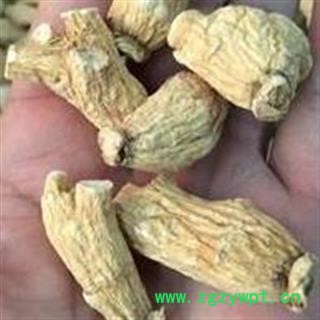 圣草康园中药材批发 长白山人参 白参 白参头 白参粒头图2