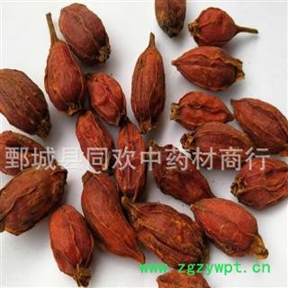 【福建栀子】@【同欢药材】中药材批发供应  规格齐全 量大从优  产地 江西图2