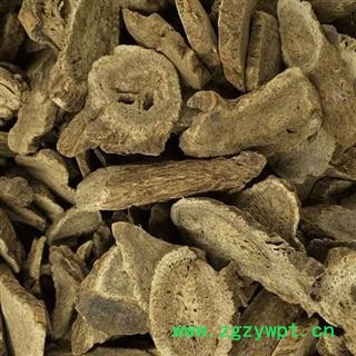 圣草康园木香 统片 云木香 蜜香 五香 五木香图2