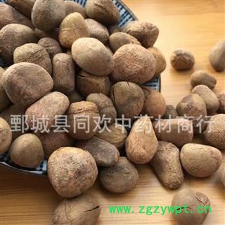 【大枫子选货】@【同欢药材】中药材批发供应  规格齐全 量大从优  产地 广西壮族自治区图3