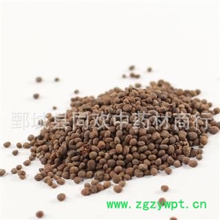 【急性子净货】@【同欢药材】中药材批发供应  规格齐全 量大从优  产地 河南省图3