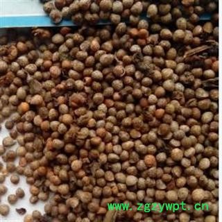 世元药业 油苏子 正品 新货 桂荏 荏子 香苏 黑苏 青苏 野苏 苏麻 苏草 唐紫苏 皱叶苏 鸡苏 臭苏 水升麻 野藿麻 聋耳麻 孜珠 兴帕夏噶图2