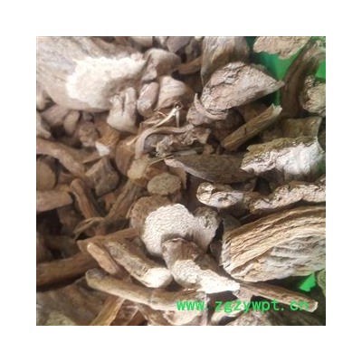 圣草康园紫茉莉根 喜马拉雅紫茉莉白花参 粉果根 入地老鼠 花粉头 水粉头 粉子头 胭脂花头 白粉根 白粉角