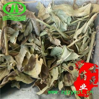 世元药业 花生叶 正品 长果叶 花生秧叶 干花生叶【全品除尘中药】图2