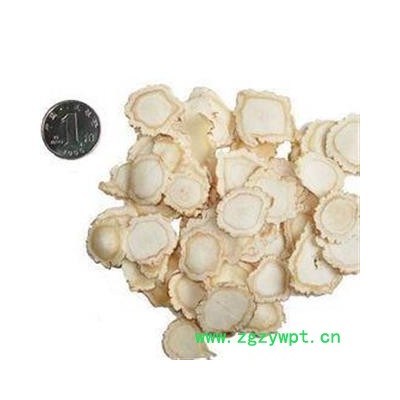 白参 产地 吉林省白山市抚松县