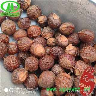 世元药业 无患子 洗手果 苦患树 木患子 油患子 肥珠子【全品除尘中药】图2