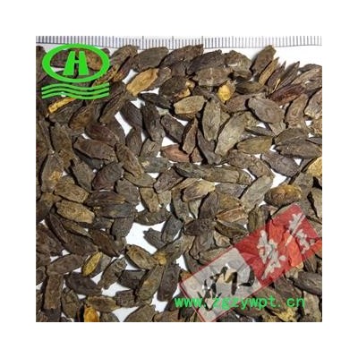 世元药业 波棱瓜子 正品 色吉美多[藏语] 野