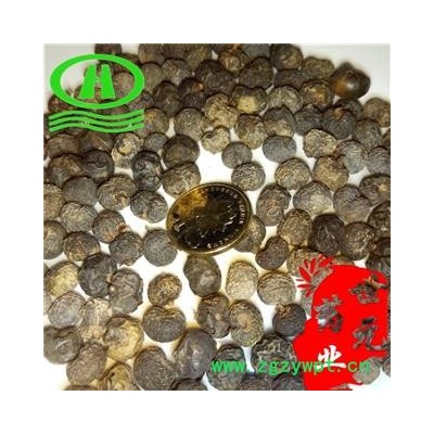 世元药业 棕榈子 正品 别称 败棕子 棕树果