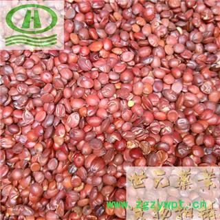 世元药业 酸枣仁 国产正品 生枣仁 山枣仁 酸枣子 棘仁图2