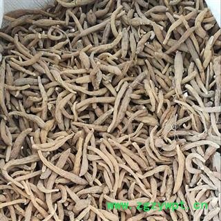 太子参 太子参中统 产地 北京市图2