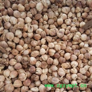 精选白豆蔻选货 批发各种规格名贵药材图2