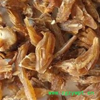 天冬 野生天冬段选货 质量好 价格低 产地 广西壮族自治区图2