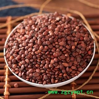 酸枣仁 国产山东 酸枣仁 无憋籽 颗粒饱满 新店上线 价格低廉 规格齐全图2