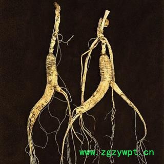 人参 山参 林下山参 无人为粘接 无胶水接15年林下人参图3