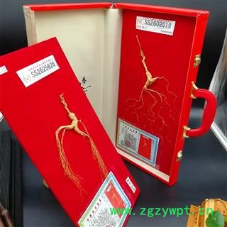 人参，山参，林下山参图2