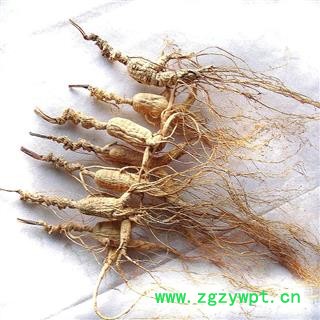 山参 产地直邮林下山参 12年 无人为粘接 单支重约6克7克图4