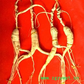 山参 产地直邮林下山参 12年 无人为粘接 单支重约6克7克图3