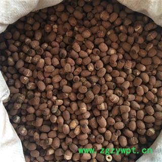 红莲子 湖南 实心 颜色好 大货便宜出售 新店上线 价格低廉 规格齐全图2