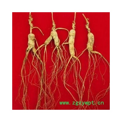 长白山移山参人参山参吉林人参  七天无理由退换货  满980元包邮