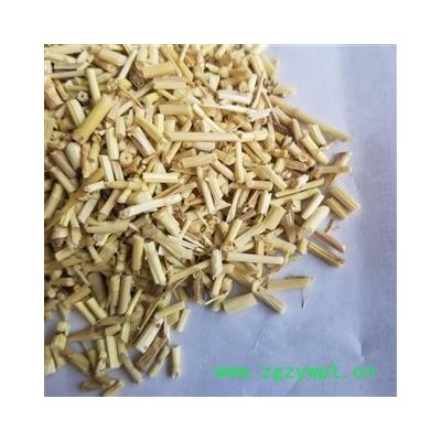 中药材  白茅根  白毛根茶 茅草根 新鲜干货