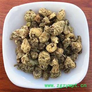 山慈菇  云南山慈菇 毛慈菇 茅慈菇 中药材图3