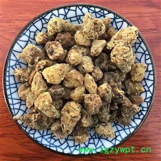 山慈菇  云南山慈菇 毛慈菇 茅慈菇 中药材图4